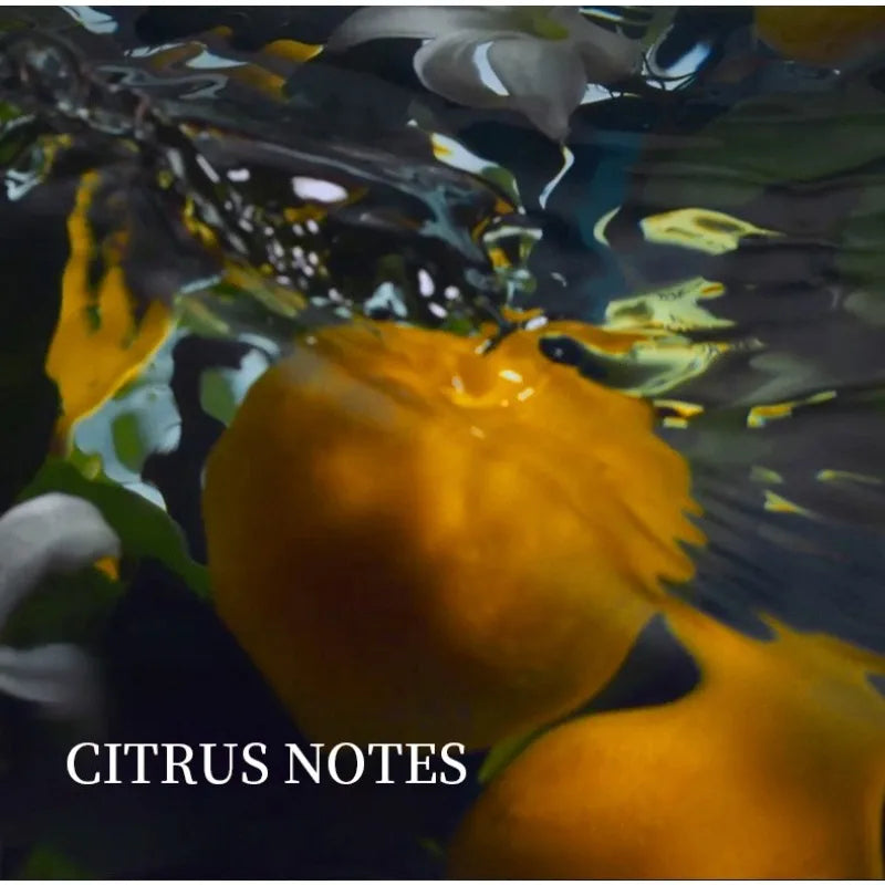 Sb548adae115746cb88751c6d4bb775afj